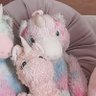 Kevin De Unicorn 🦄's profile picture