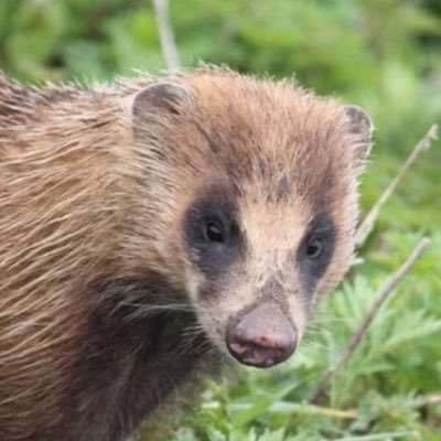 mujinamujina2's profile picture