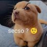 Edgar's profile picture