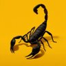 Profilbild von GrandRegentBurner