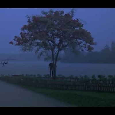 ပန်းနု's profile picture