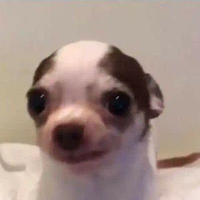 Home_choong's profile picture