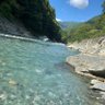 🐥ゔぇるか profil fotoğrafı