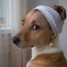 Avatar's profile picture