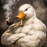 thelameduck's profile picture