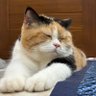 m e's profile picture
