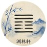 渊林轩 YuanLinXuan profil fotoğrafı