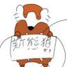 熊狛(くまこま)!狛を泊とよく間違われるんだよね's profile picture
