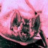 Profilbild von nate