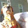 R M's profile picture