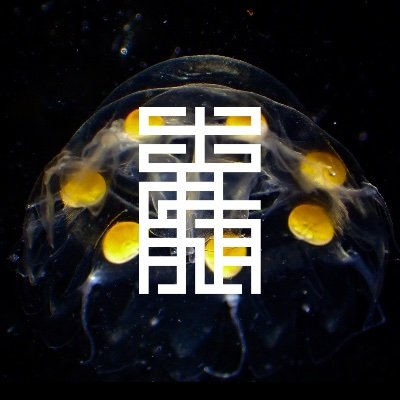 くらげノ脊髄's profile picture