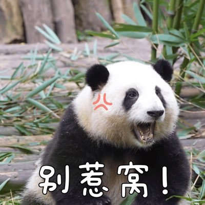 xBqZx4zhhb61229's profile picture