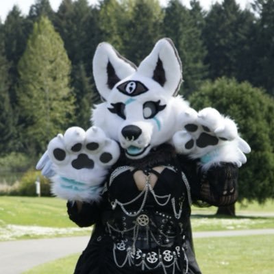 Jackypawzz's profile picture