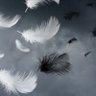 Profilbild von Skystella_🪽🥀 Time has passed isn't?🥂