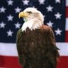 LoveAmericaHateTrump 🇺🇸 的头像