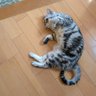 Фото профиля おりおん
