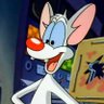 Profilbild von Pinky'sWay AKA Ichosethesock