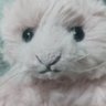 あまのっち's profile picture