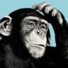 MonkeyDownTheRabbitHole profil fotoğrafı