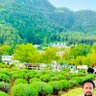 Фото профиля Dr. THAKUR