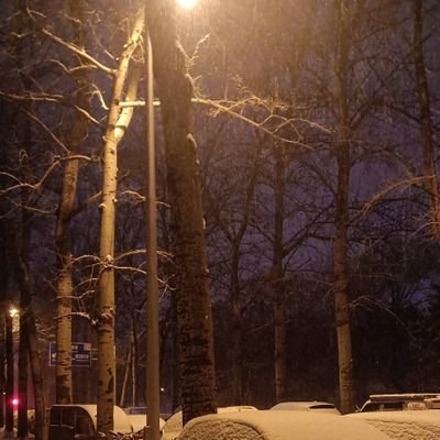 微微微's profile picture