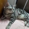 MinSS profil fotoğrafı