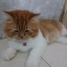 mr.le profil fotoğrafı