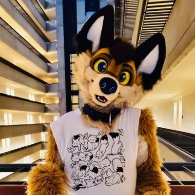 KoidelCoyote 💫 FWA AC MP's profile picture