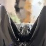 乳膠雞 的头像