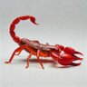 scorpion_charms 的头像