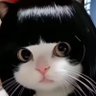 むぎゅう 的头像