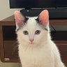 Lena Rht 的头像