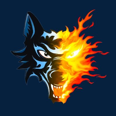 bruleursdeloups's profile picture