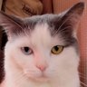 9B profil fotoğrafı