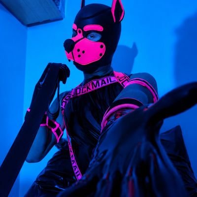 ElJokerFamily's profile picture