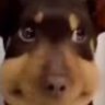 Profilbild von はなはな