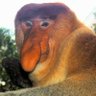 Profilbild von sobirin