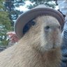 Jon's profile picture