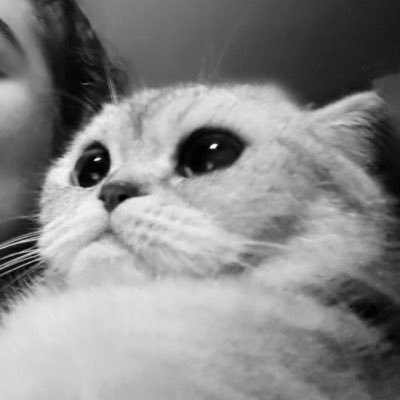 birazkedimden's profile picture
