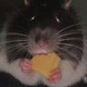 Profilbild von Tym