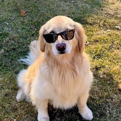 RVJJ02's profile picture