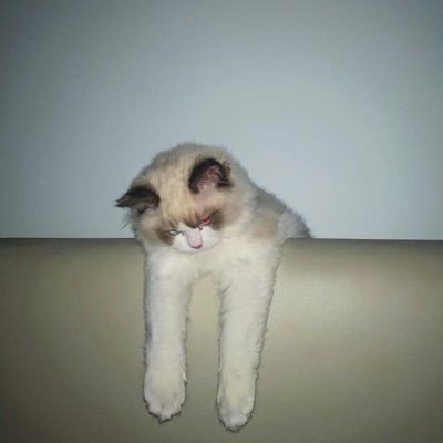 aaomwn's profile picture