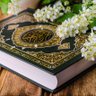 طالوت حيدر profil fotoğrafı