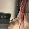 عقاب الدهمشي profil fotoğrafı