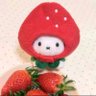 いちご's profile picture