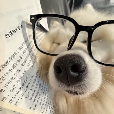 หมากาทุ👾's profile picture