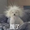 雨滢's profile picture