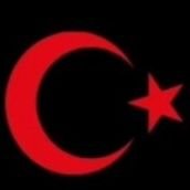 SeyfiH35951's profile picture