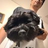 Ricardo's profile picture