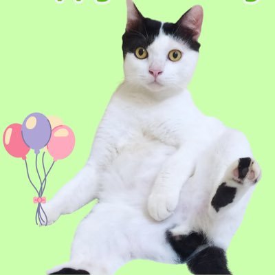poni_catrik's profile picture